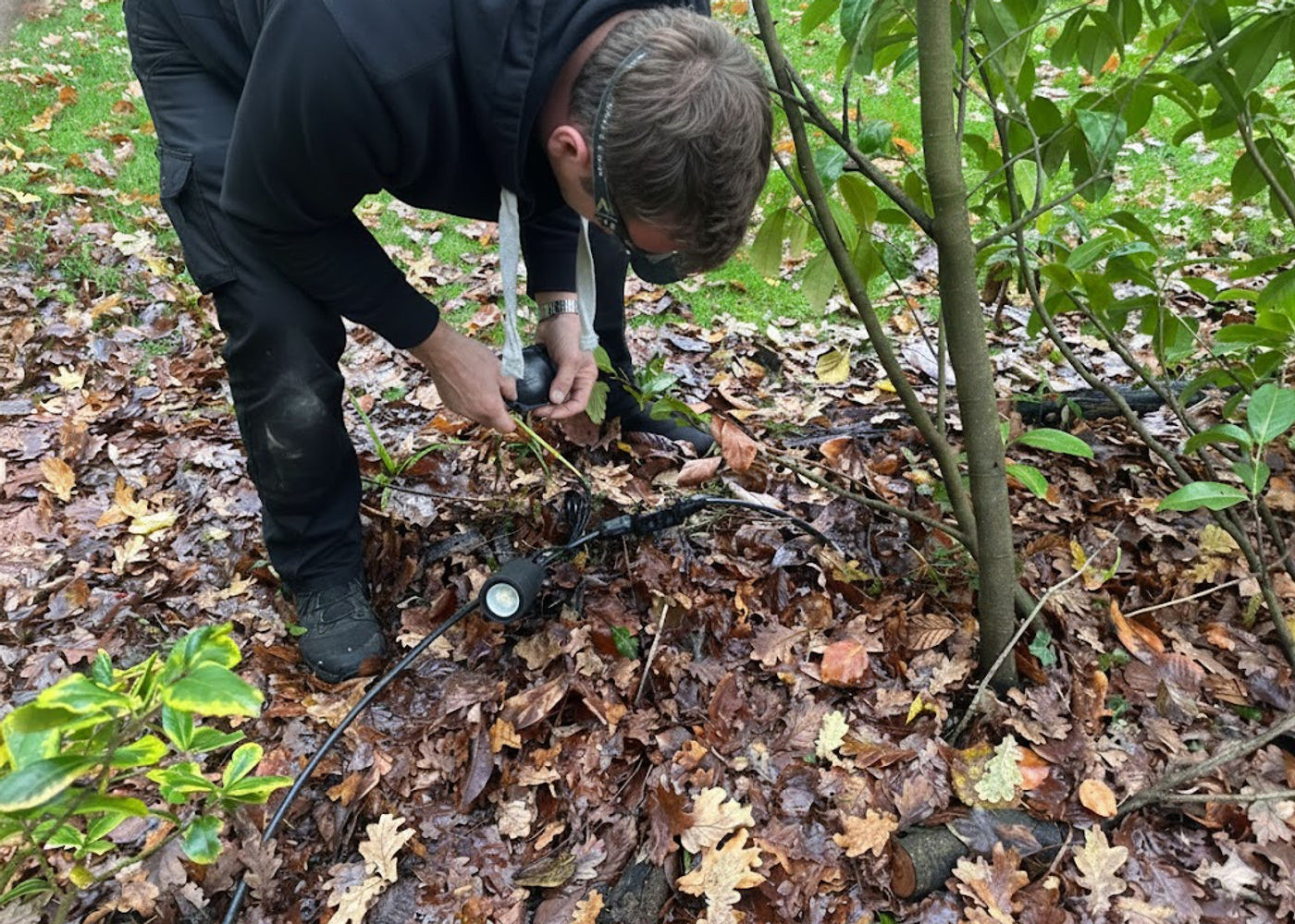 Garden lighting installation on its own protected circuit in Horsham